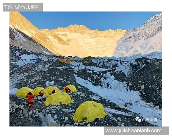 北京攀岩队心理素质分析及其对竞技表现的影响研究 北京攀岩队心理素质分析及其对竞技表现的影响研究