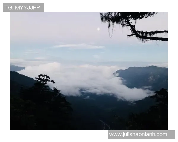 张静亲述攀岩技巧与心得体会助你轻松征服高峰挑战