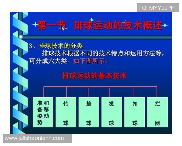 杭州排球队整体压制战术解析与深度剖析排球竞技的胜负关键