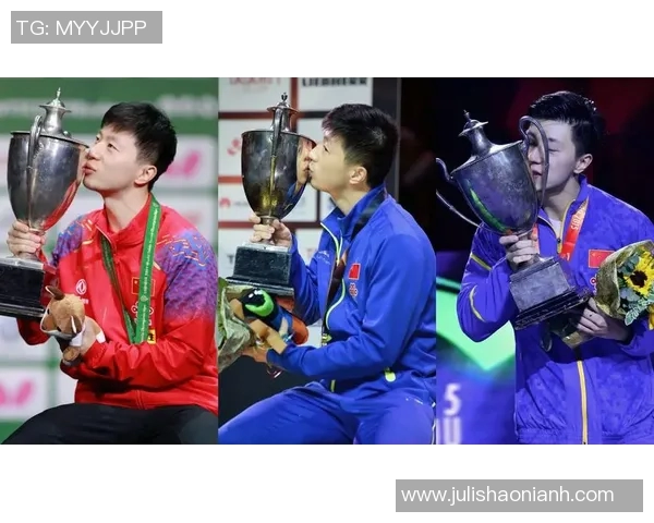 乒乓球传奇王丽的奋斗历程与心路历程深度对话