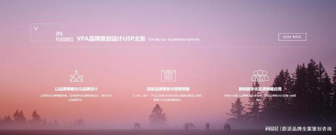 金年会金字招牌品牌全案筹谋公司浩瀚怎样精准避雷(图2)