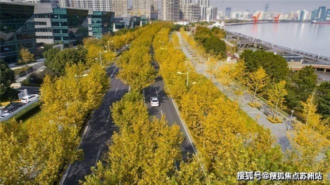 金年会金字招牌诚信至上2025尚海湾(营销中间)首页官方网站-尚海湾售楼中间(售(图7)